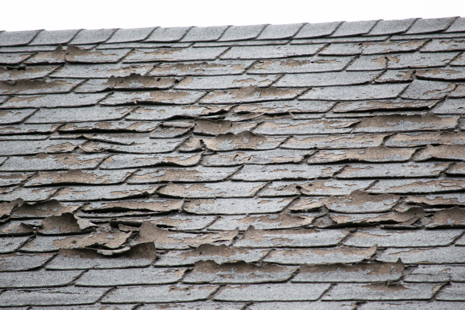 Buying a Home? Roof Problems a General Inspection May Miss Buying a Home? Roof Problems a General Inspection May Miss