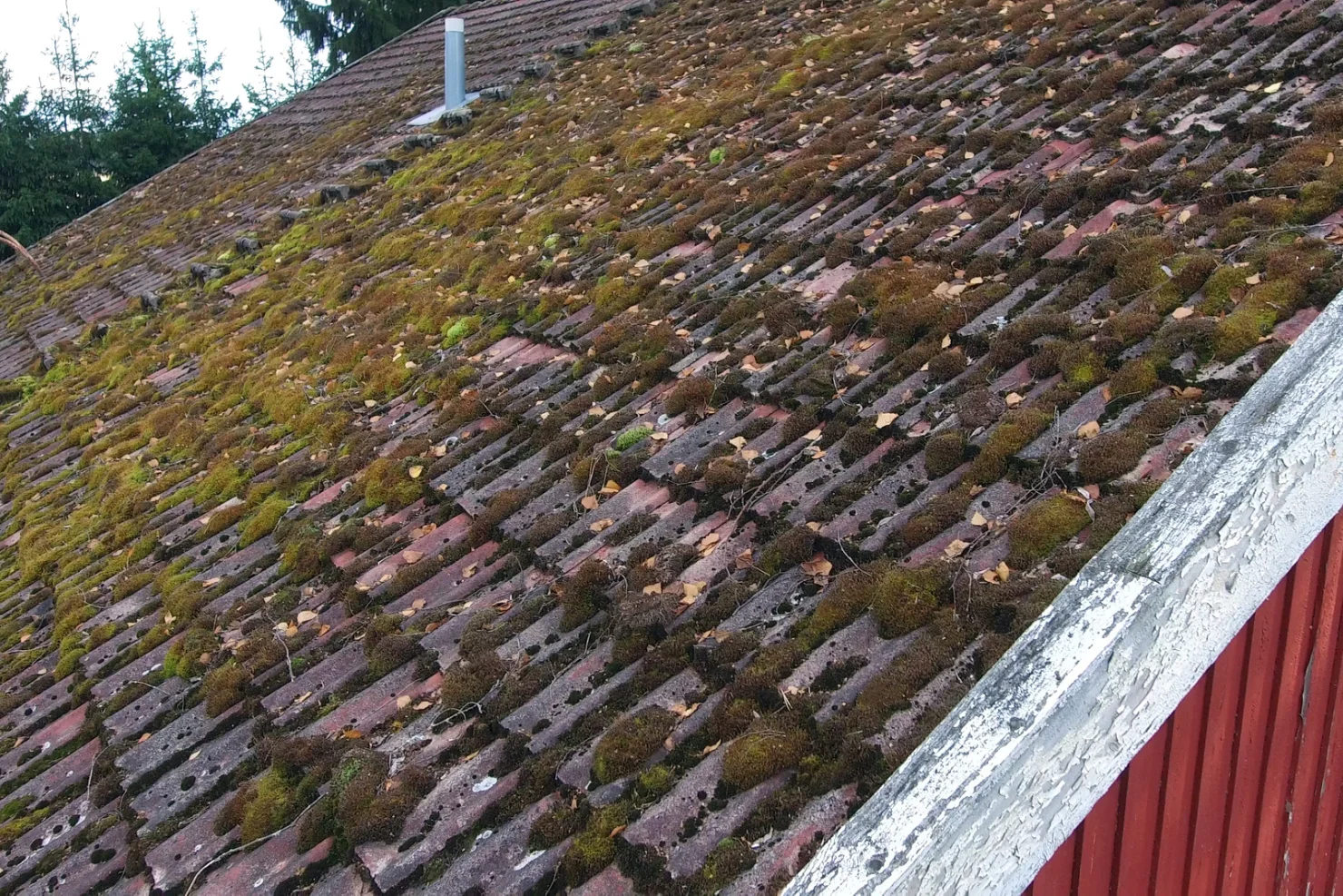 Buying a Home? Roof Problems a General Inspection May Miss Buying a Home? Roof Problems a General Inspection May Miss