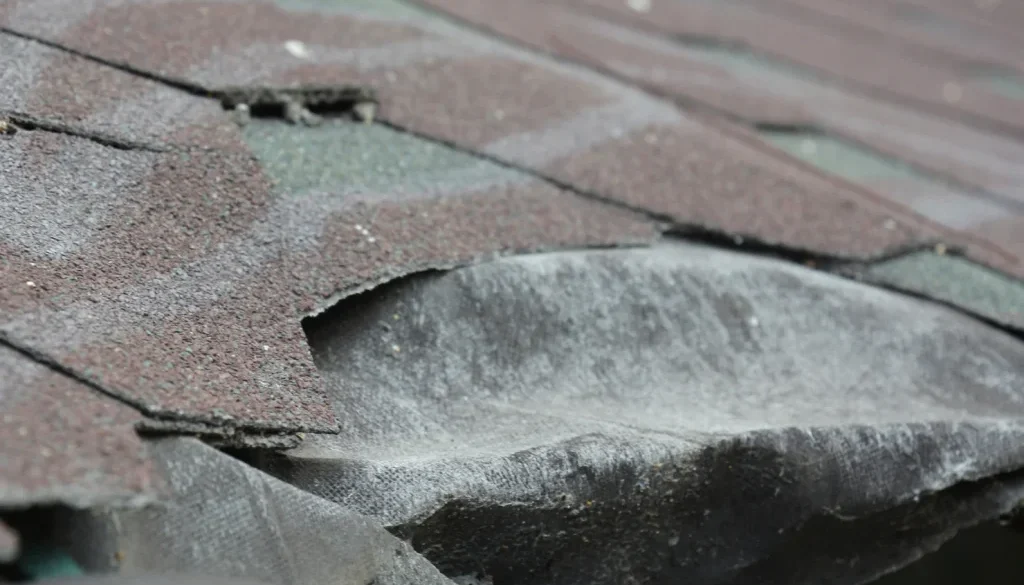 Buying a Home? Roof Problems a General Inspection May Miss