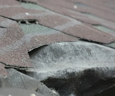 Buying a Home? Roof Problems a General Inspection May Miss